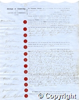 croc.ms.CO_P12_34.jpg