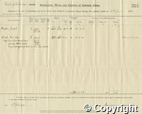 croc.ms.G_C_AX28.30.06.1917.jpg