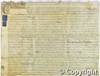 croc.ms.K107_F_h_46_11.p1.jpg