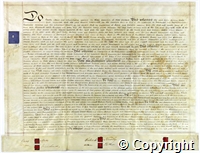 croc.ms.K107_F_h_46_34.p2.jpg