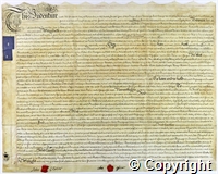 croc.ms.K107_F_h_46_9.jpg