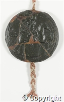 croc.ms.L90_1.seal.jpg