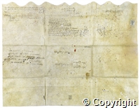 croc.ms.P136_25_32.b.jpg