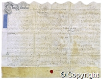 croc.ms.P136_25_32.f.jpg