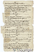 croc.ms.P76_1_1.p4.jpg
