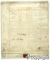 croc.ms.Q_RDc75a.p01.jpg