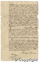croc.ms.R55_7_122(m)_1.p3.jpg