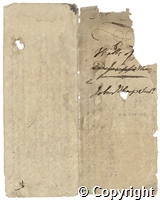 croc.ms.R55_7_122(m)_2.b.jpg