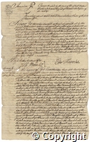 croc.ms.R55_7_122(m)_2.p1.jpg