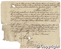 croc.ms.R55_7_122(m)_2.p3.jpg