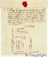 croc.ms.R55_7_122.h.8.pl.jpg