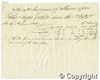 croc.ms.R55_7_123_7.f.jpg
