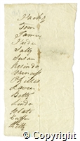 croc.ms.R55_7_123_7.names.jpg