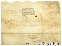 croc.ms.R59_26_6_12.b.jpg