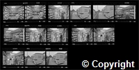 croc.ph.CB_2_SE_4_3_1635.contact sheet.jpg