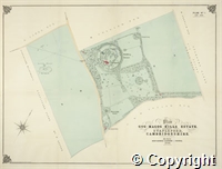 croc.pl.296_SP955.jpg