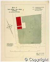 croc.pl.515_SP1391.jpg