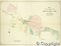 croc.pl.515_SP444.jpg