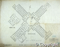 croc.pl.R55_26_20_C.jpg