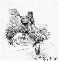 croh.dr.4551.Houghton.1.jpg