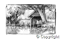 croh.dr.4551.Houghton.4.jpg