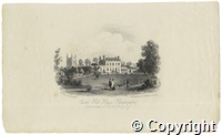 croh.dr.PH48_81.jpg