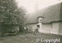 croh.ph.2193_129.b.crop.jpg