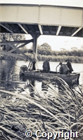 croh.ph.4021.3.jpg