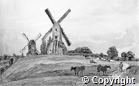 croh.ph.PH48_65.jpg