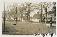 croh.ph.PH50_23.jpg