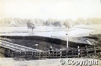 croh.ph.WH10_10.crop.jpg