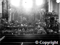 croh.ph.WH2_206.jpg