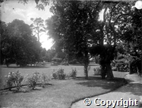croh.ph.WH2_279.jpg