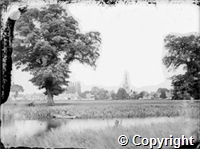 croh.ph.WH3_197.jpg