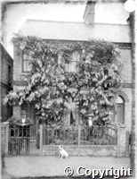 croh.ph.WH3_2075.jpg