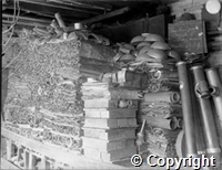 croh.ph.WH3_2230B.after.jpg